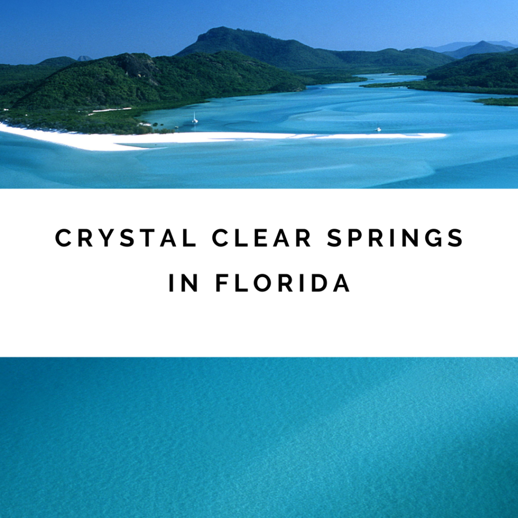 Crystal Clear Springs in Florida