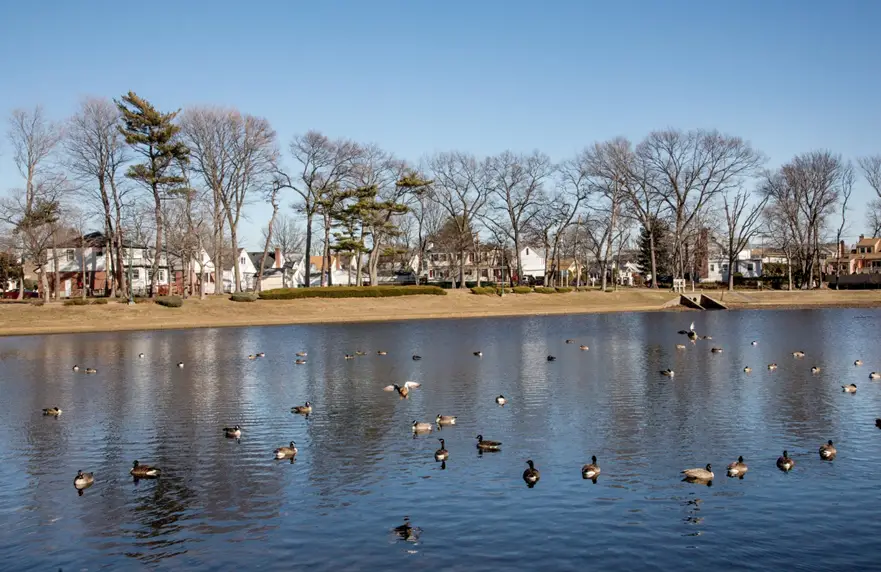 Best places to live in Long Island for young adults and singles