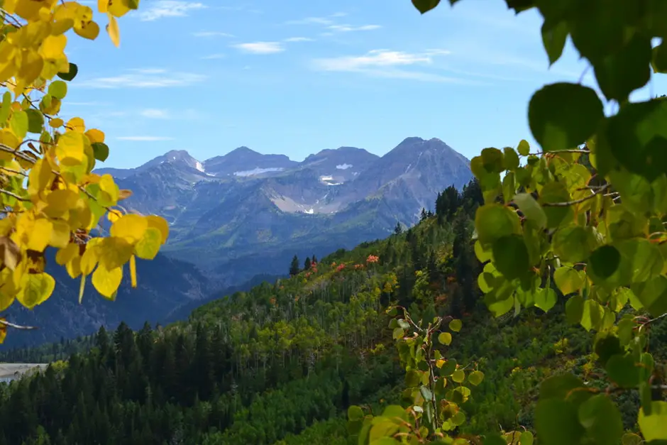 Best places to live in Utah for young adults and singles