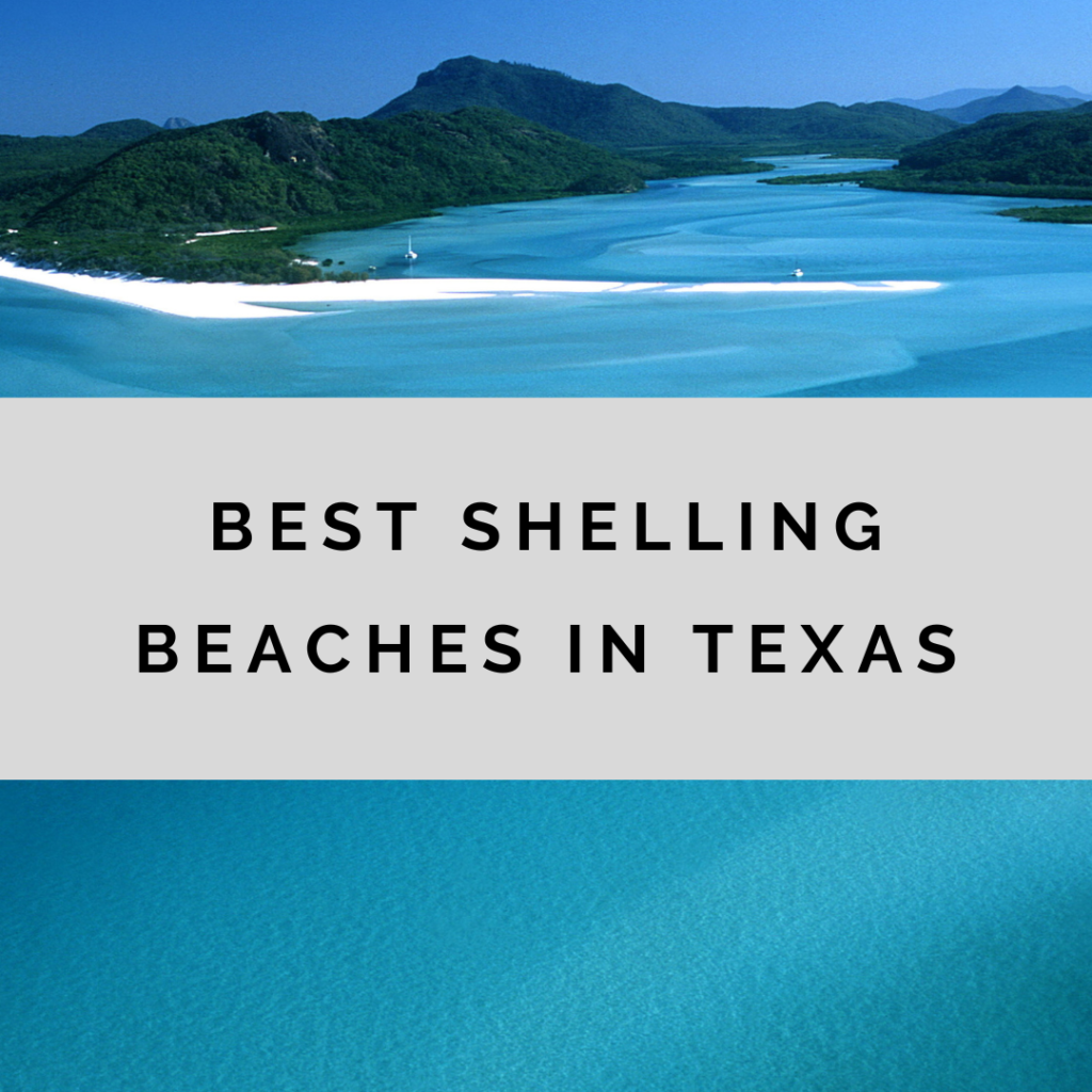 Best shelling beaches in Texas