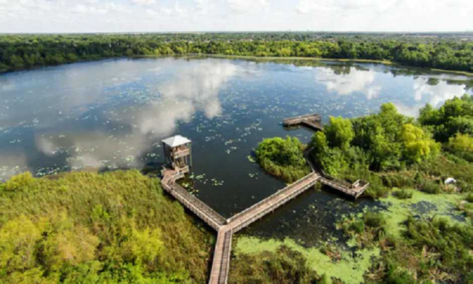 Nature Abounds in Houston