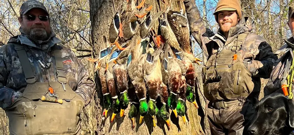 Louisiana Timber Ducks Hunting