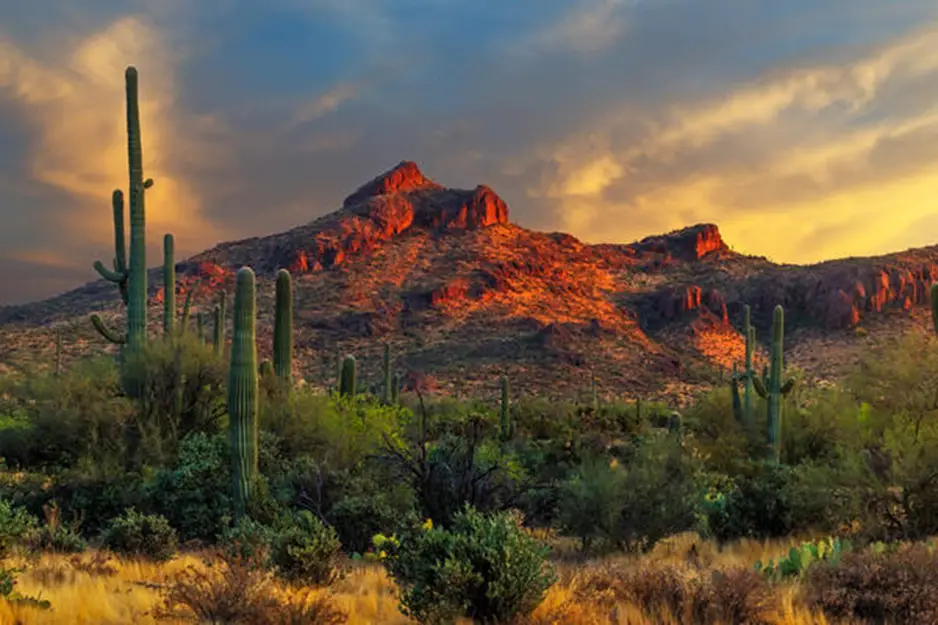 Arizona Stunning Desert Landscapes