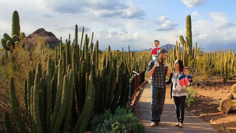 Hiking at Arizona Cacti Gardens