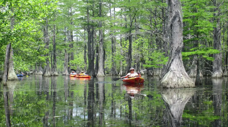 Unforgettable places to kayak in Georgia