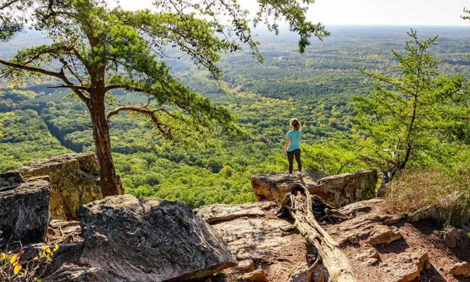 Natural & Scenic Attractions in North Carolina