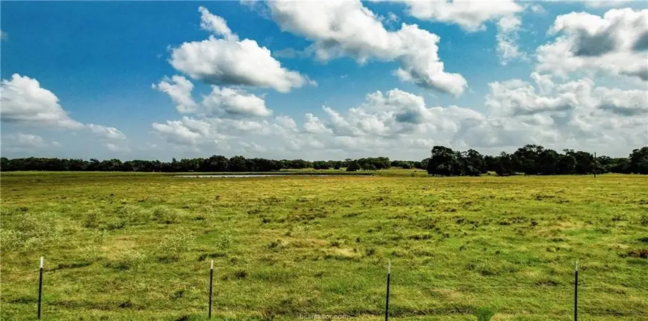 3. Tax Incentives for Local Investors