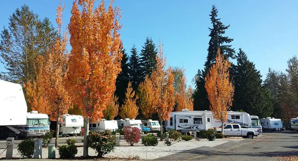 Campground 3: Maple Grove Campground