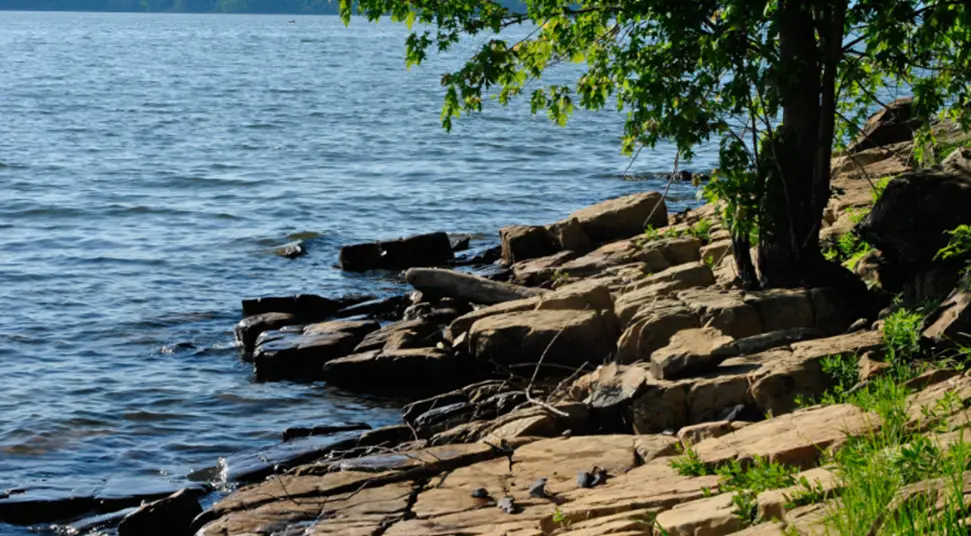 Campground 5: Button Bay State Park