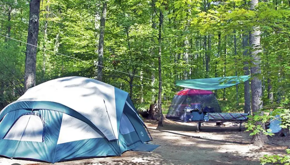 Pawtuckaway State Park: Located in Nottingham