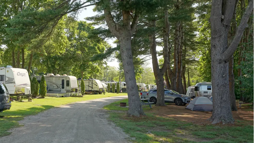 Beach Camping Area: Situated in North Hampton