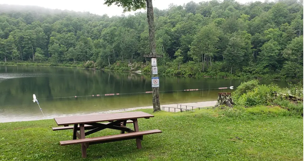 Savoy Mountain State Forest, Nestled in the scenic Berkshires