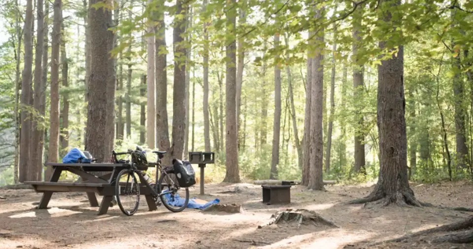 Harold Parker State Forest, Located in North Andover