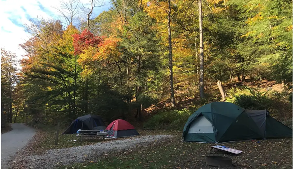 Mohican State Park Campground: Located in Loudonville