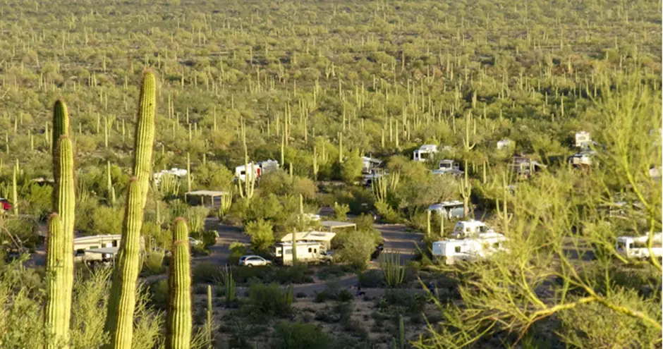 Twin Peaks Campground (Organ Pipe Cactus National Monument)