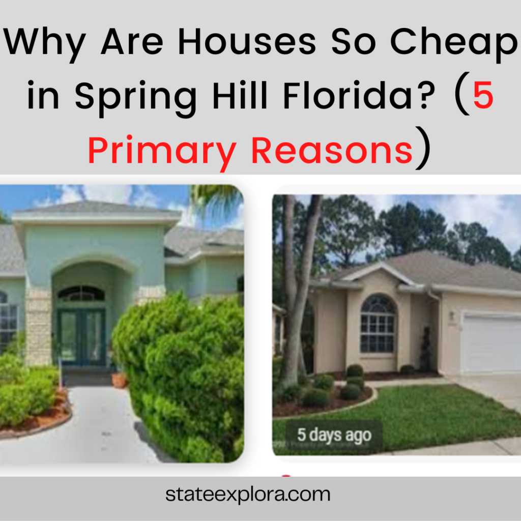 Why Are Houses So Cheap in Spring Hill Florida