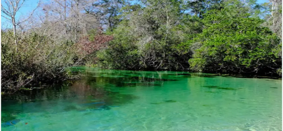 (a) Natural Beauty and Climate