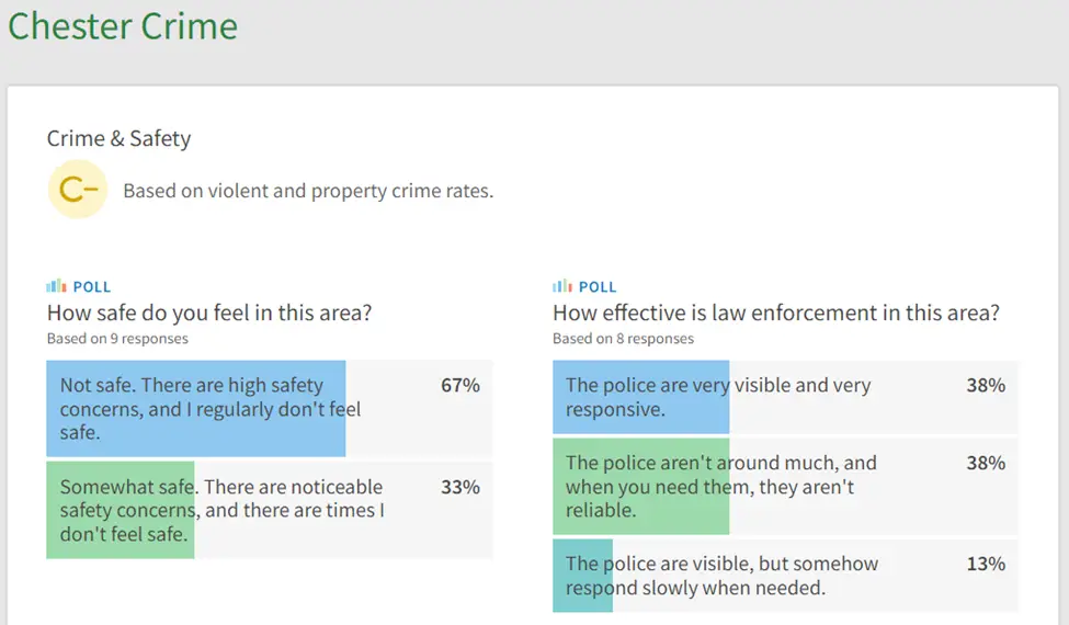 Chester Crime & Safety Survey