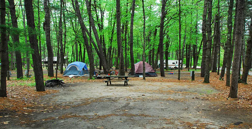 1. Sebago Lake State Park