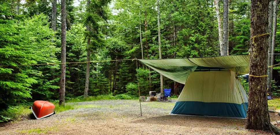 2. Acadia National Park