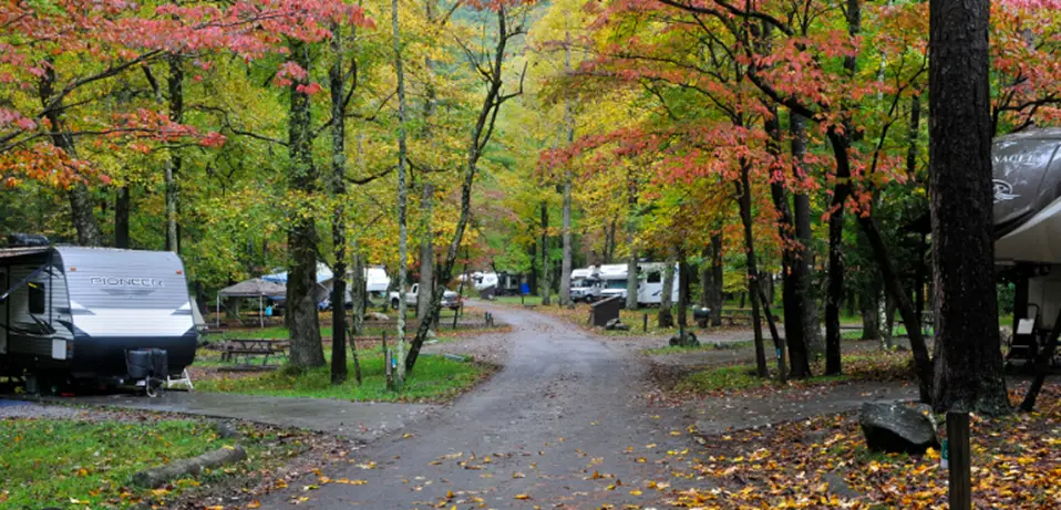 1. Great Smoky Mountains National Park