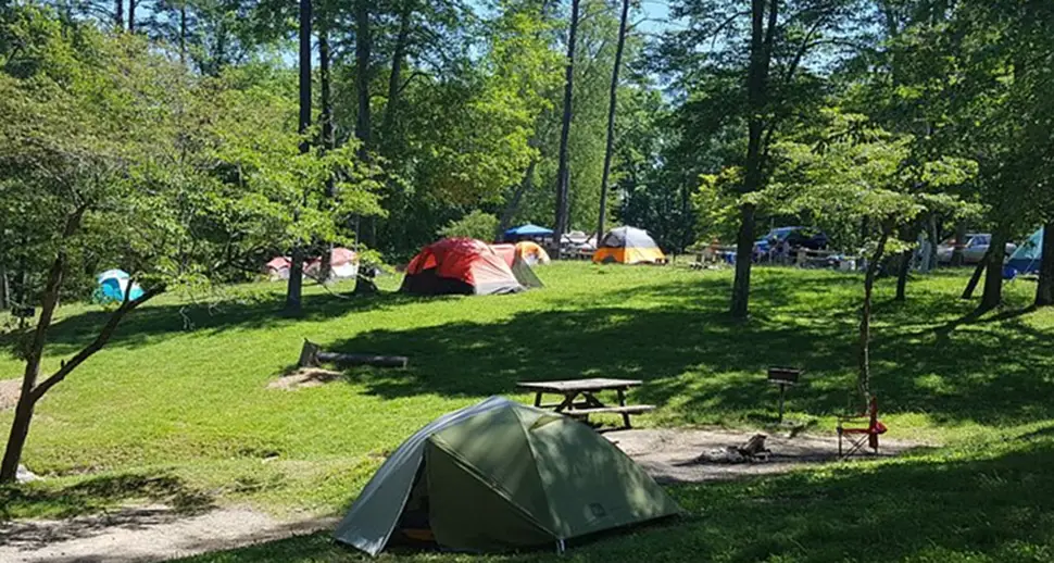 2. Fall Creek Falls State Park