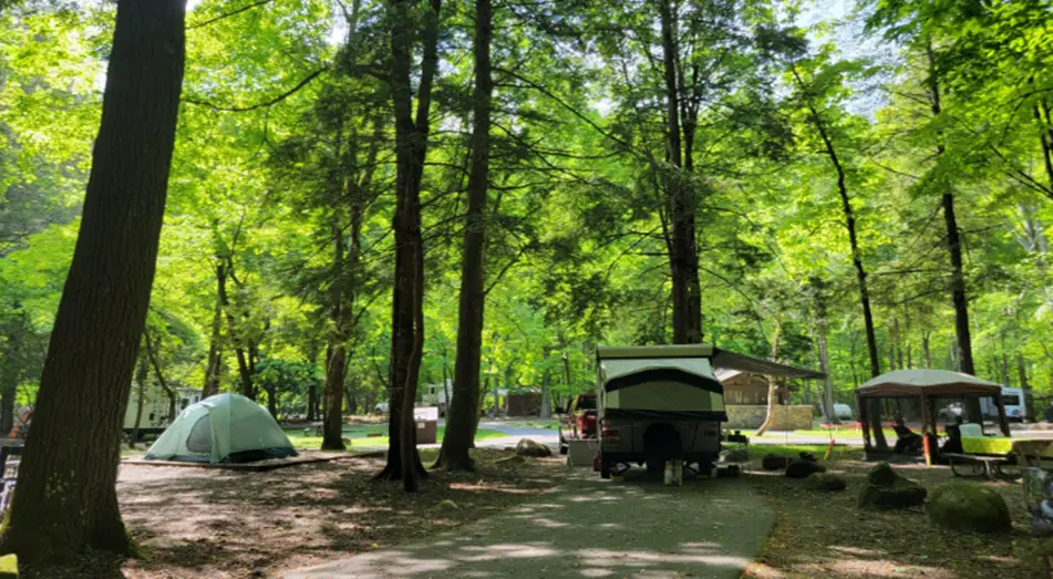 5. Cherokee National Forest