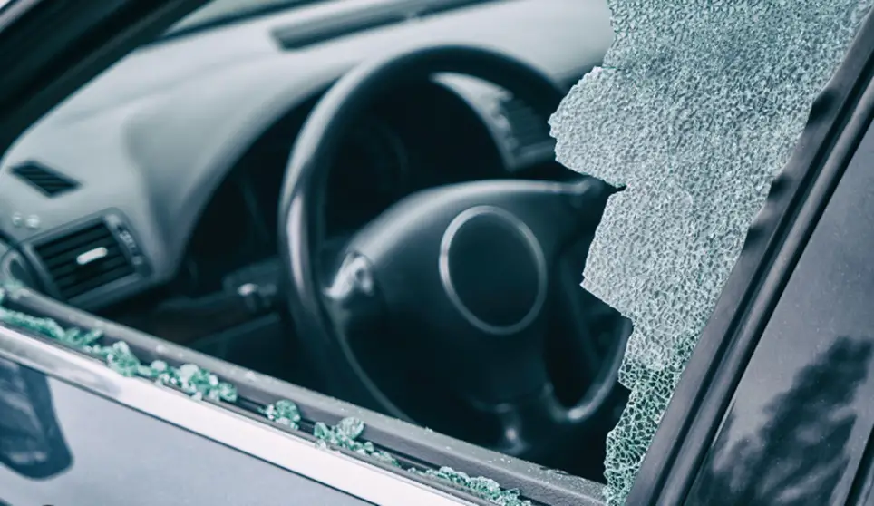 Auto Theft and Vandalism in New Orleans