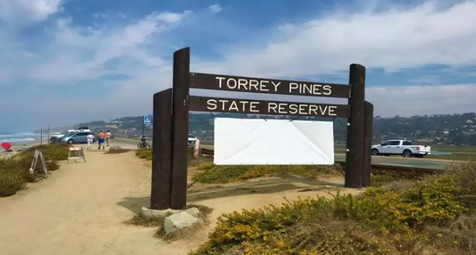 7. Torrey Pines State Reserve