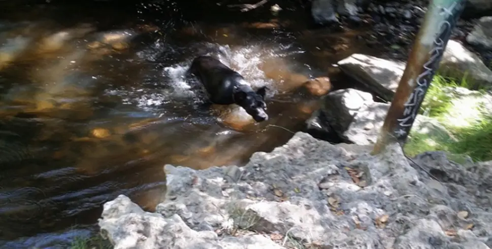 8. Marian Bear Memorial Park