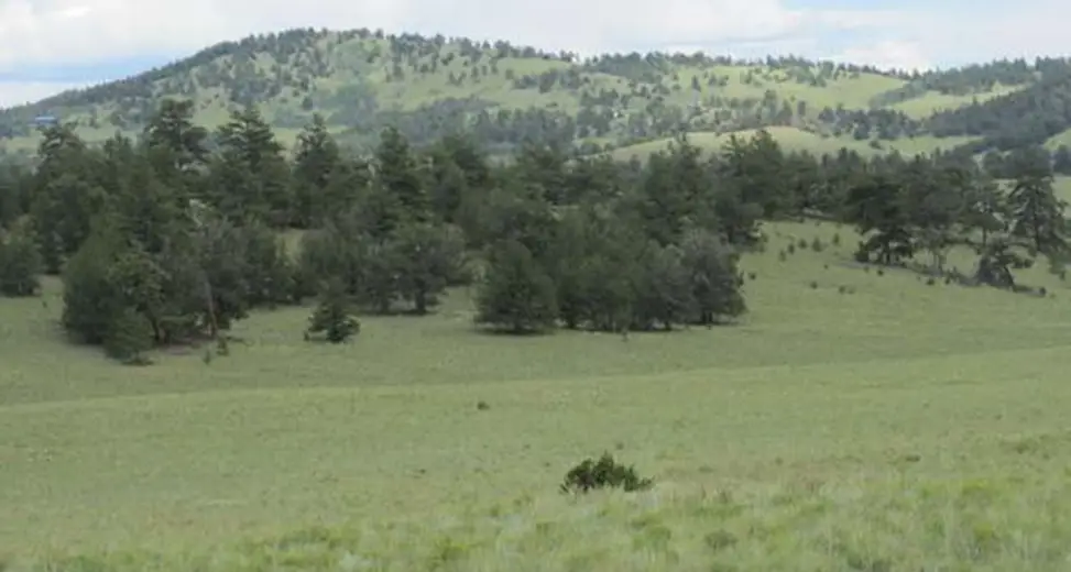 Peaceful and Serene Environment at Hartsel Colorado
