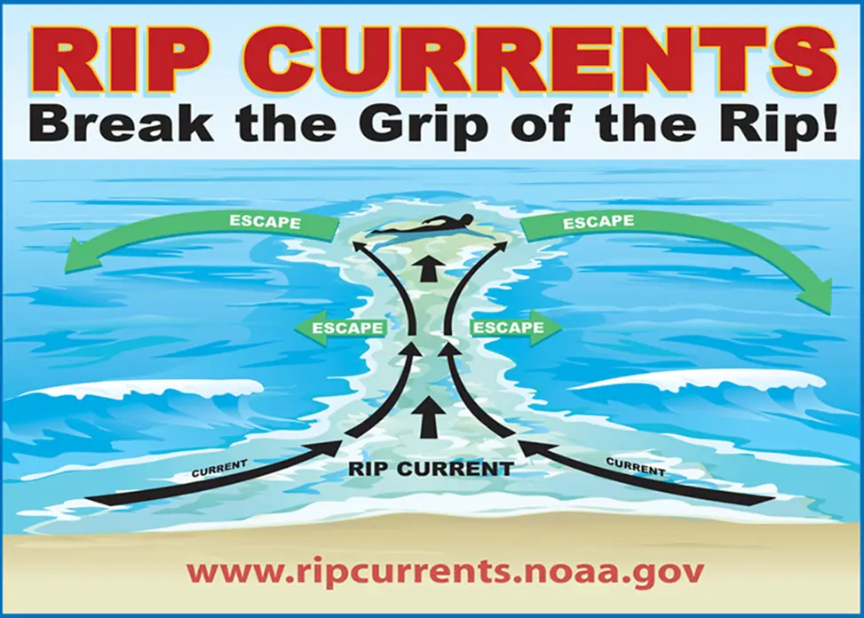 Rip Currents