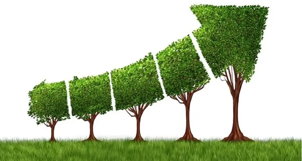 The Potential for Growth