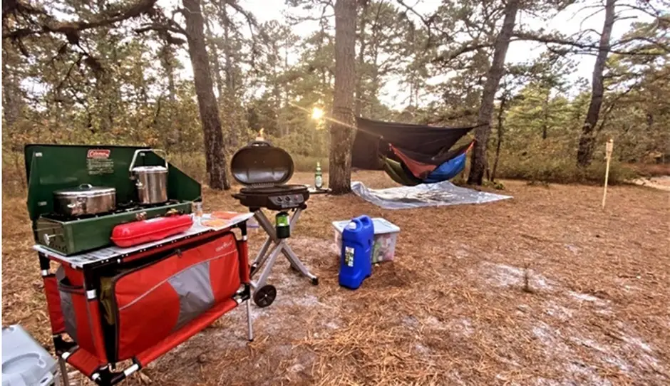 2. Wharton State Forest, Hammonton