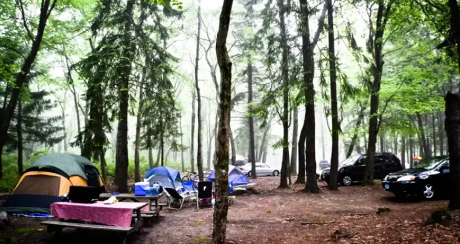 1. Burlingame State Campground, Charlestown