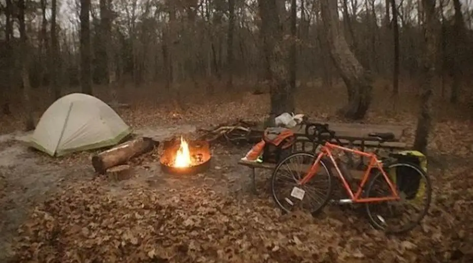 4. Allaire State Park, Wall Township