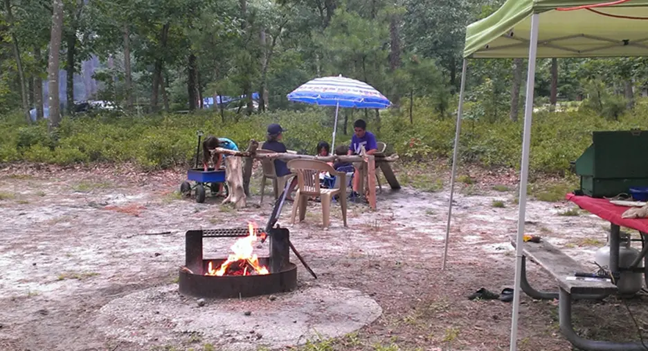 6. Bass River State Forest - Tuckerton, NJ