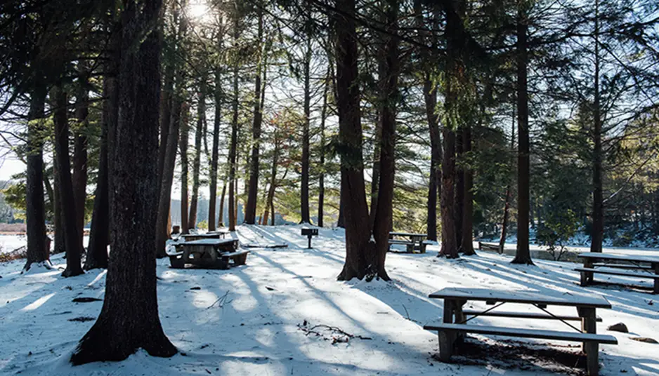 7. Stokes State Forest - Branchville, NJ