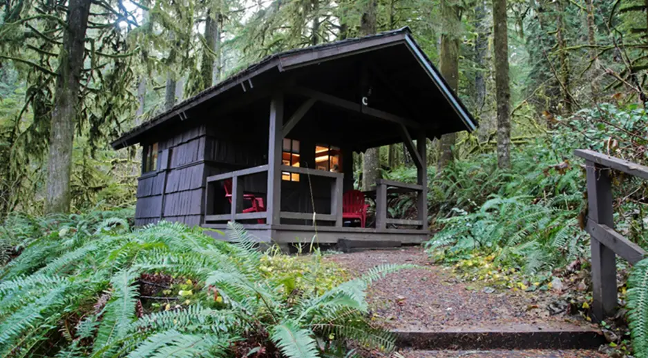 2. Silver Falls State Park, Sublimity
