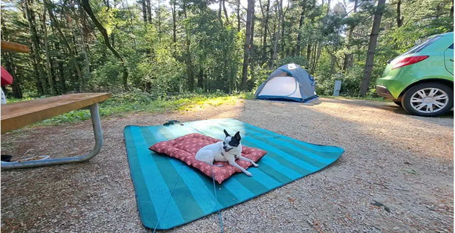 2. Maquoketa Caves State Park Campground, Situated Near Maquoketa