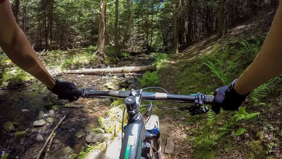 2. Rothrock State Forest Campground