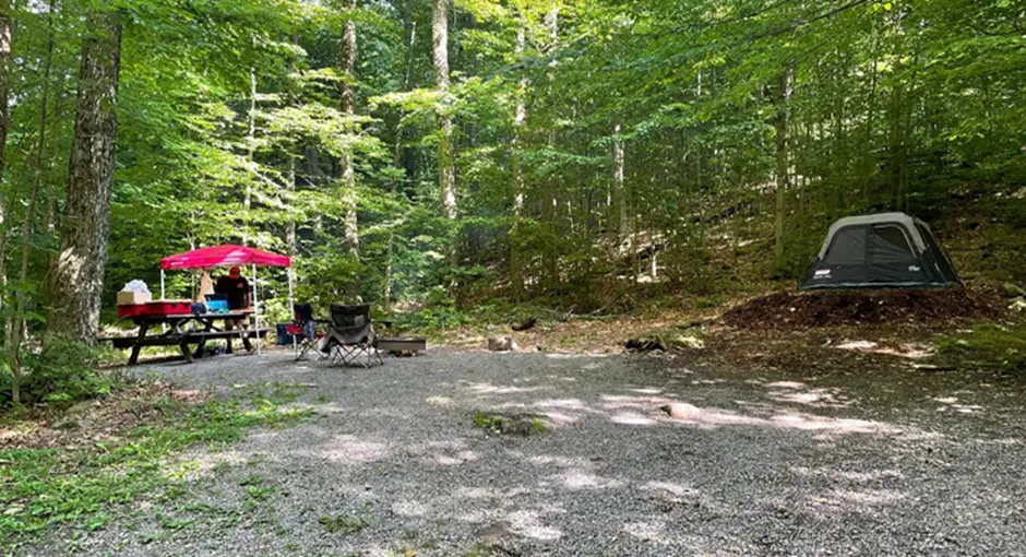 6. Worlds End State Park Campground
