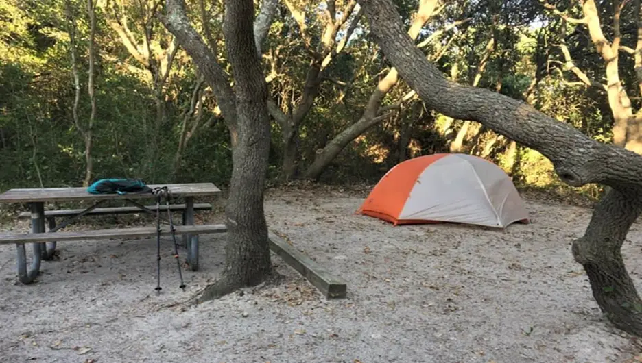 3. False Cape State Park Campground, Tucked away in Virginia Beach