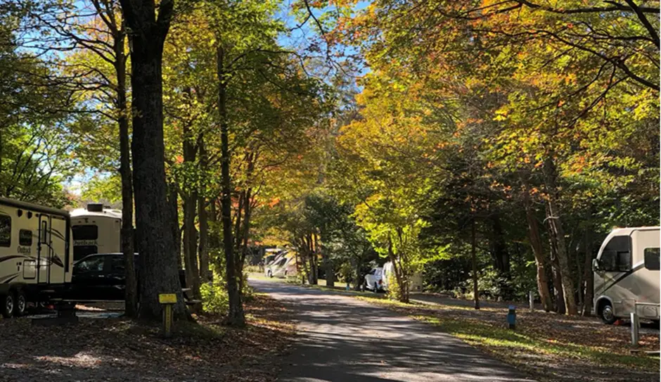 4. Grayson Highlands State Park Campground, Located in Mouth of Wilson