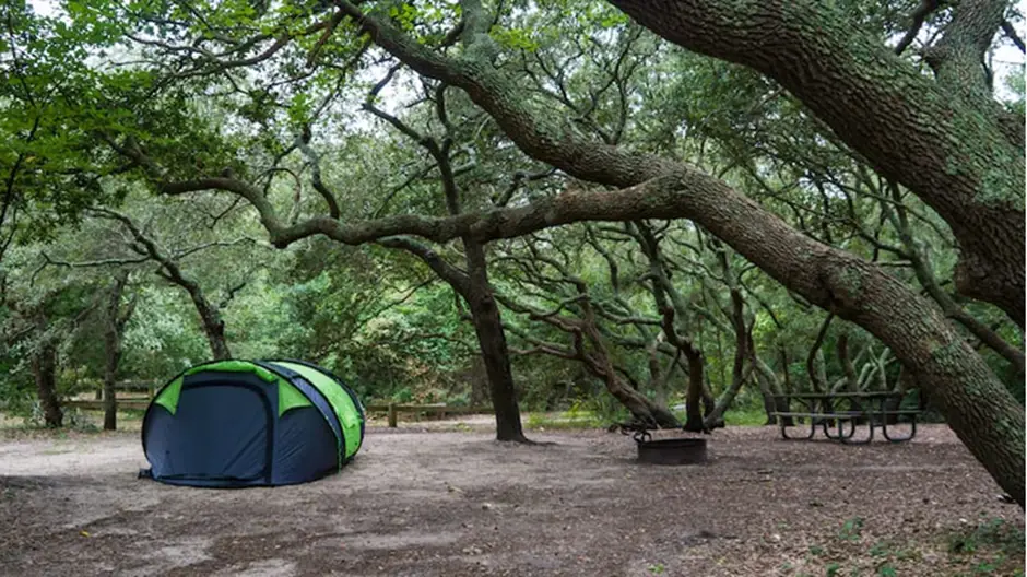7. First Landing State Park Campground, Located in Virginia Beach