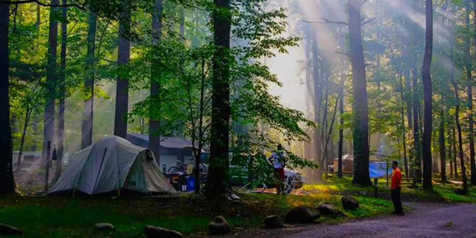 3. Great Smoky Mountains National Park, Spanning across North Carolina and Tennessee