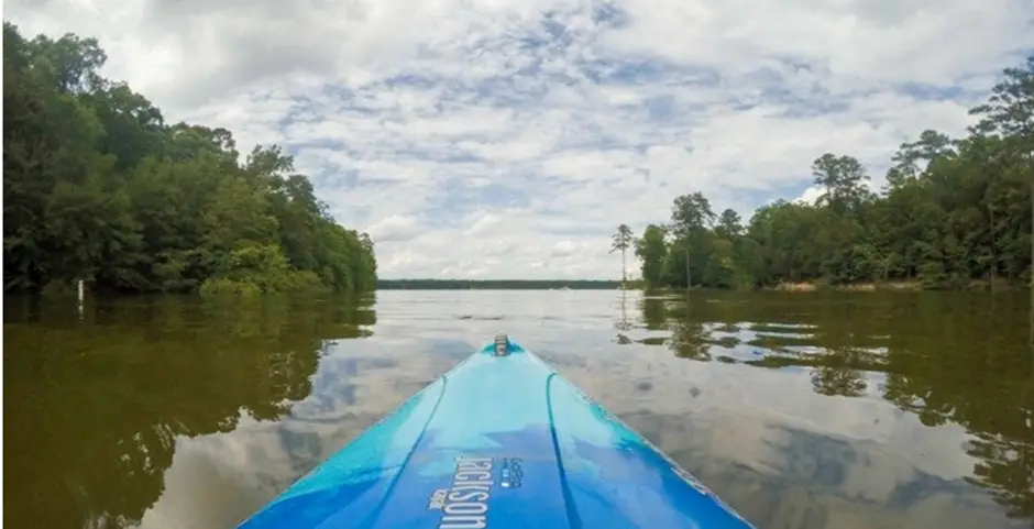 5. Jordan Lake State Recreation Area, Situated in the Piedmont region