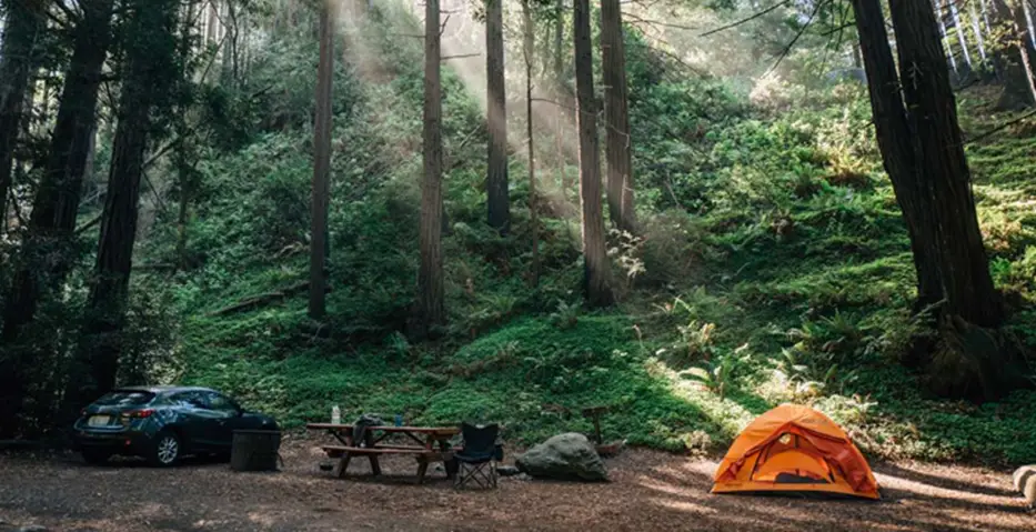 7. Limekiln State Park