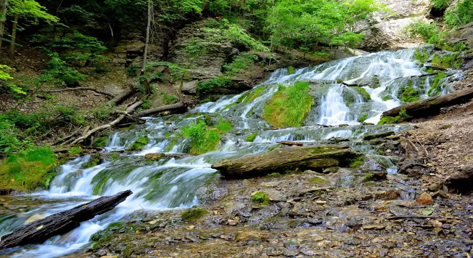 4. Dunnings Spring Park