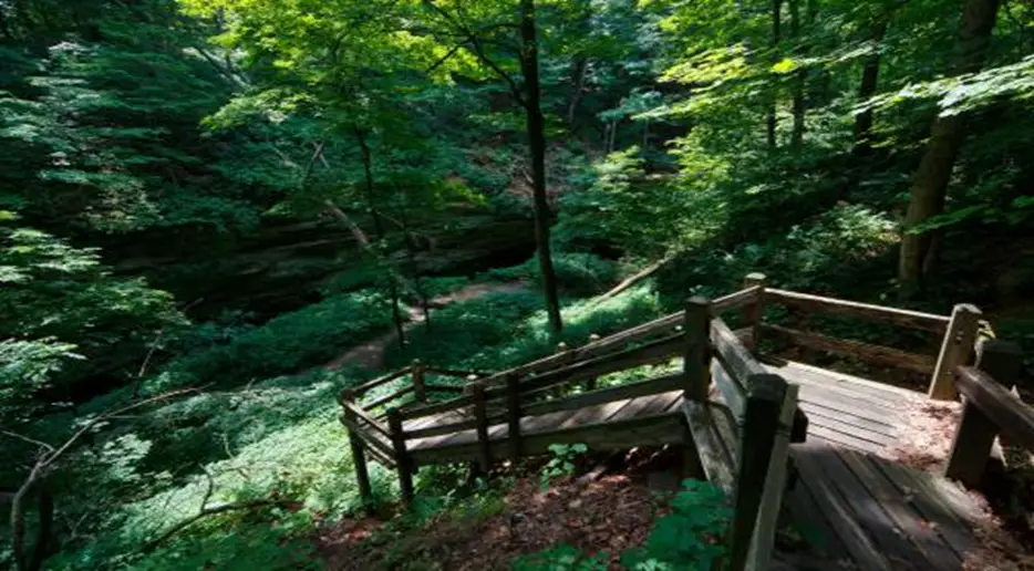 5. Wildcat Den State Park